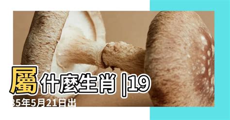 1985年農曆生肖|1985年中國農曆,黃道吉日,嫁娶擇日,農民曆,節氣,節日